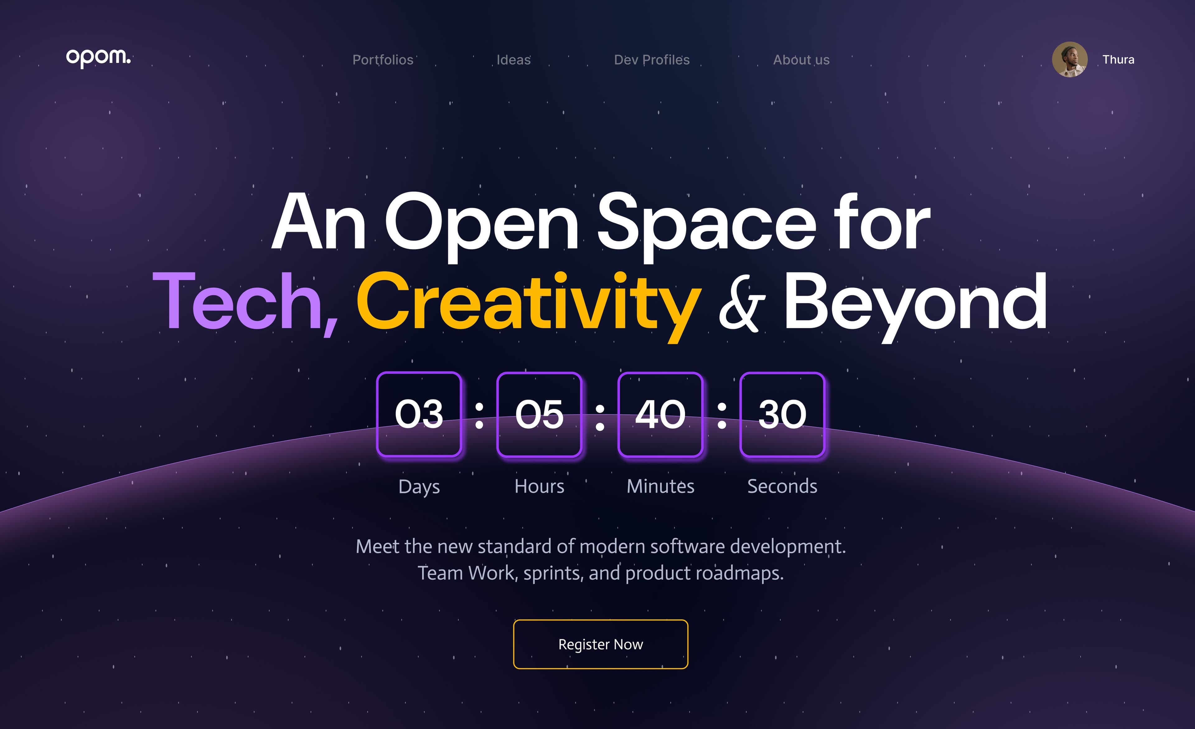 ONE PROJECT ONE MONTH PORTAL Interface Preview
